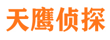 大城侦探公司